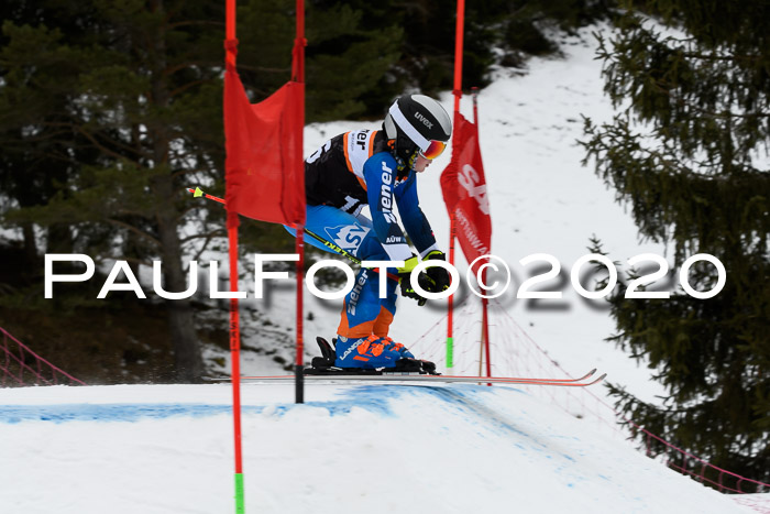 Ziener Cup WF u. U12 Kids Cross RSX 25.01.2020