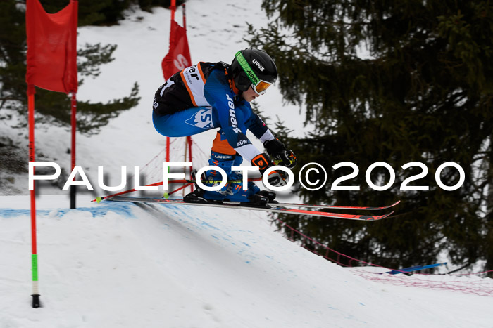 Ziener Cup WF u. U12 Kids Cross RSX 25.01.2020