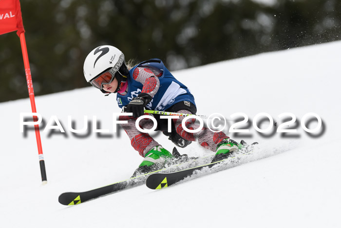 Ziener Cup WF u. U12 Kids Cross RSX 25.01.2020