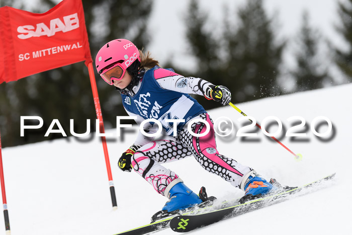 Ziener Cup WF u. U12 Kids Cross RSX 25.01.2020