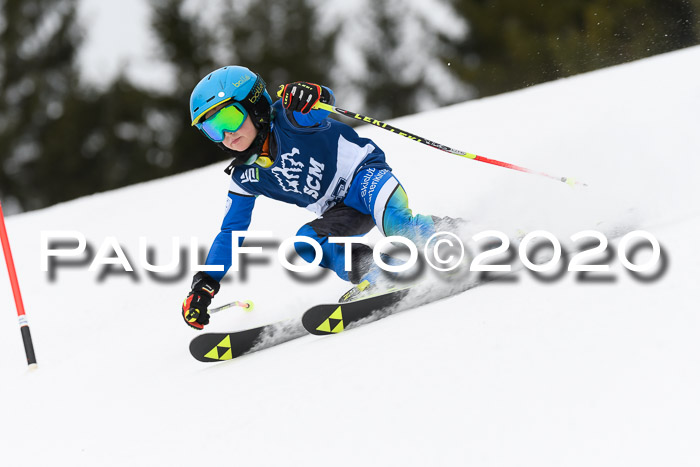 Ziener Cup WF u. U12 Kids Cross RSX 25.01.2020