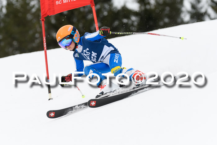 Ziener Cup WF u. U12 Kids Cross RSX 25.01.2020