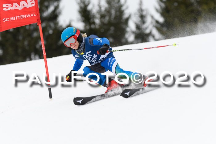 Ziener Cup WF u. U12 Kids Cross RSX 25.01.2020