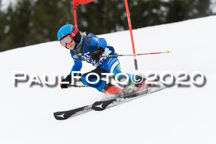 Ziener Cup WF u. U12 Kids Cross RSX 25.01.2020