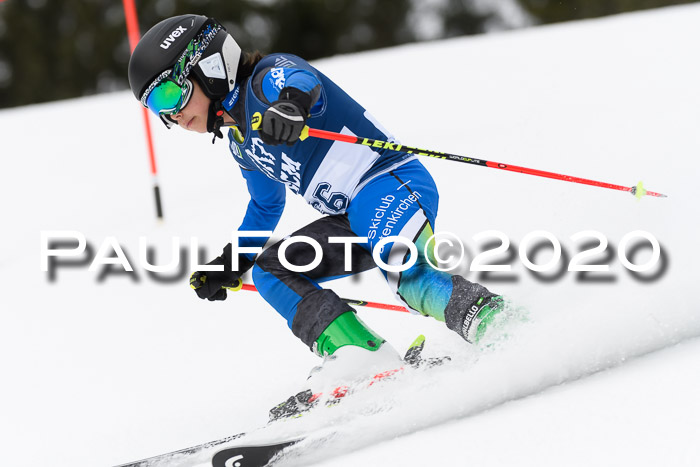 Ziener Cup WF u. U12 Kids Cross RSX 25.01.2020