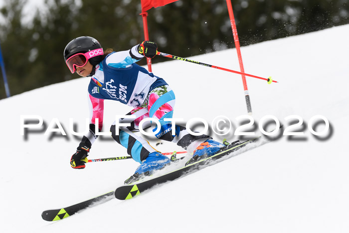 Ziener Cup WF u. U12 Kids Cross RSX 25.01.2020