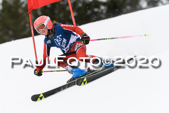 Ziener Cup WF u. U12 Kids Cross RSX 25.01.2020