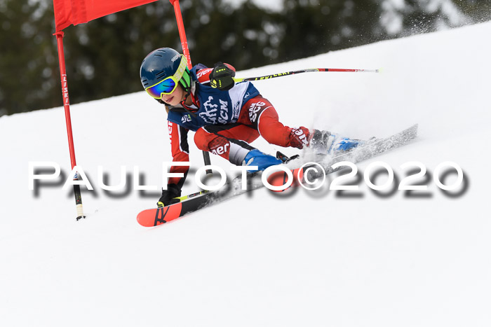 Ziener Cup WF u. U12 Kids Cross RSX 25.01.2020
