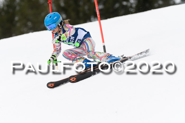 Ziener Cup WF u. U12 Kids Cross RSX 25.01.2020