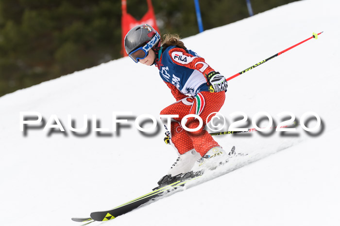 Ziener Cup WF u. U12 Kids Cross RSX 25.01.2020