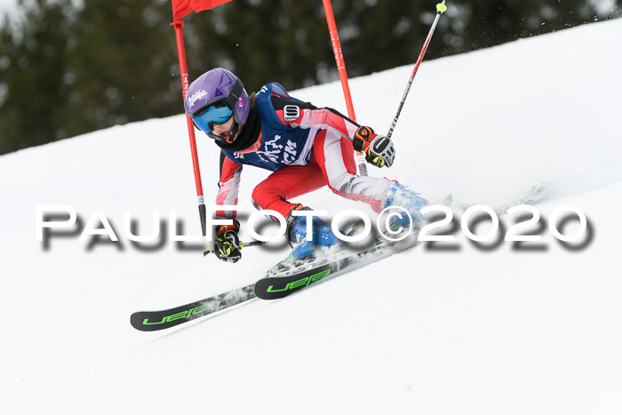 Ziener Cup WF u. U12 Kids Cross RSX 25.01.2020