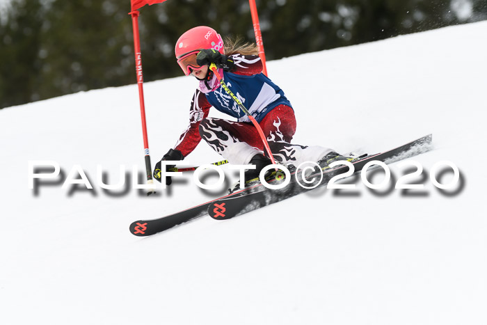 Ziener Cup WF u. U12 Kids Cross RSX 25.01.2020
