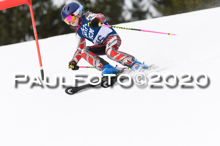 Ziener Cup WF u. U12 Kids Cross RSX 25.01.2020