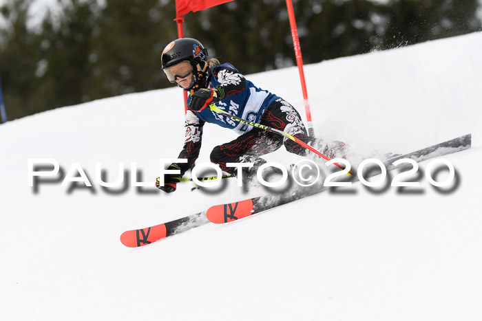 Ziener Cup WF u. U12 Kids Cross RSX 25.01.2020