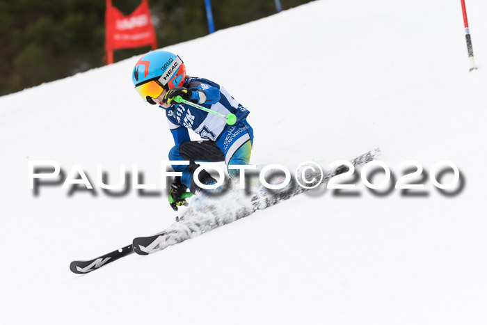Ziener Cup WF u. U12 Kids Cross RSX 25.01.2020