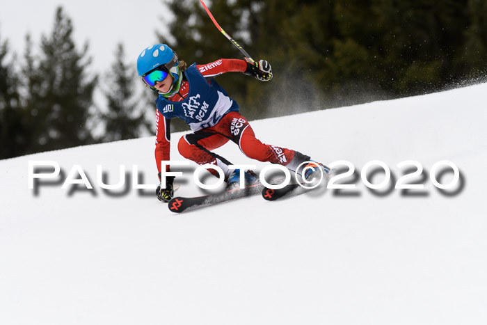 Ziener Cup WF u. U12 Kids Cross RSX 25.01.2020