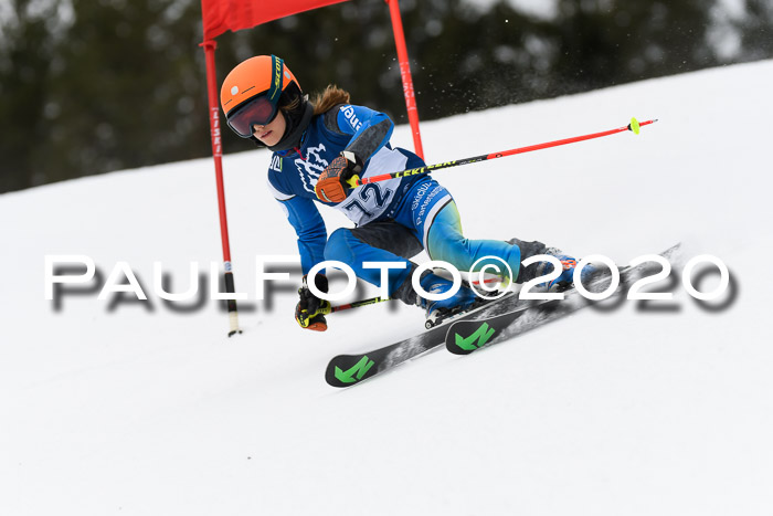 Ziener Cup WF u. U12 Kids Cross RSX 25.01.2020