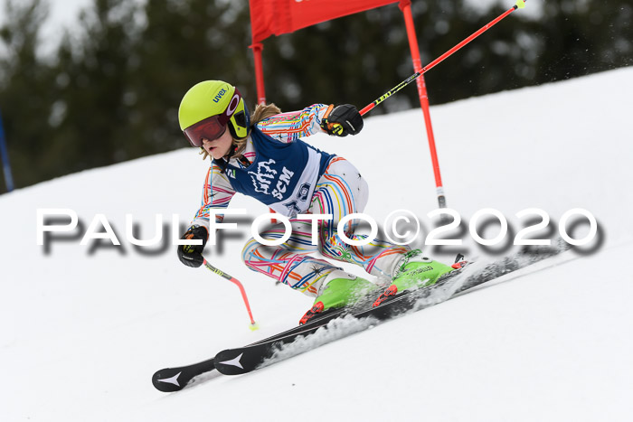 Ziener Cup WF u. U12 Kids Cross RSX 25.01.2020