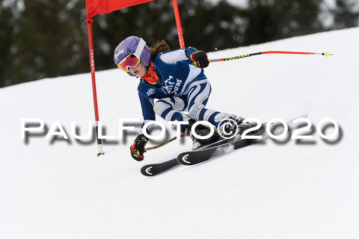 Ziener Cup WF u. U12 Kids Cross RSX 25.01.2020