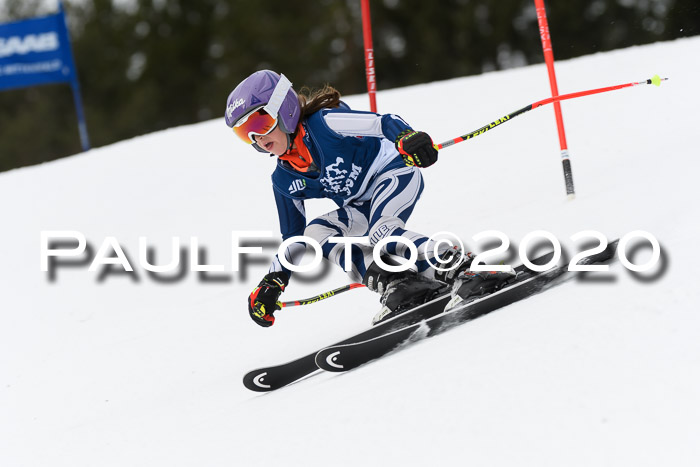 Ziener Cup WF u. U12 Kids Cross RSX 25.01.2020