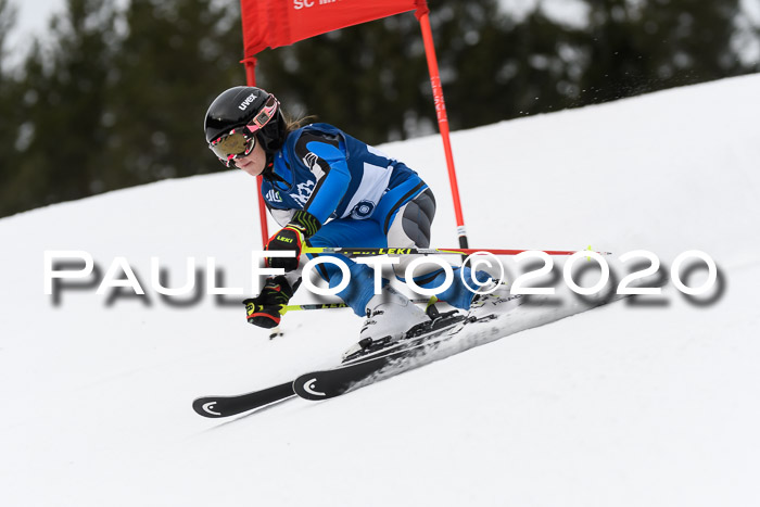 Ziener Cup WF u. U12 Kids Cross RSX 25.01.2020