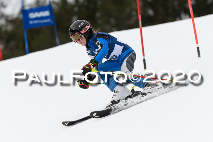 Ziener Cup WF u. U12 Kids Cross RSX 25.01.2020