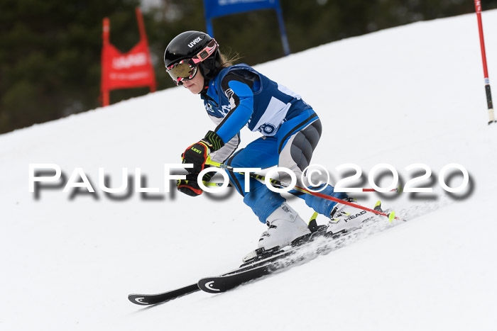 Ziener Cup WF u. U12 Kids Cross RSX 25.01.2020