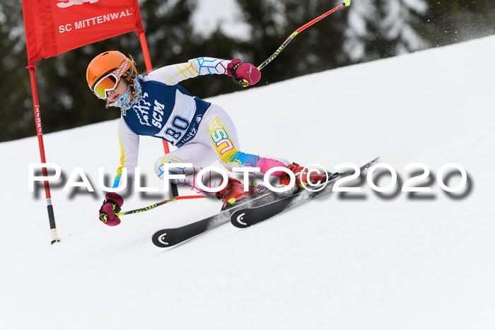 Ziener Cup WF u. U12 Kids Cross RSX 25.01.2020