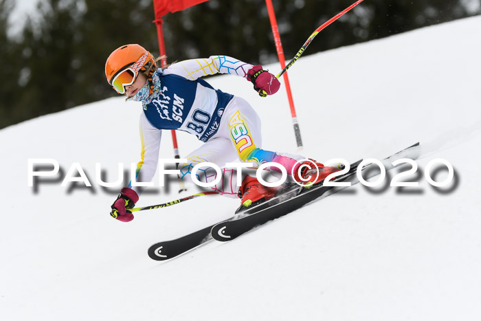 Ziener Cup WF u. U12 Kids Cross RSX 25.01.2020