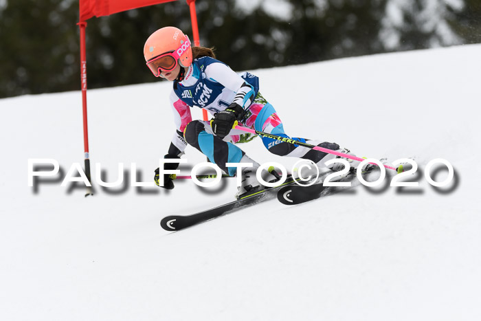 Ziener Cup WF u. U12 Kids Cross RSX 25.01.2020