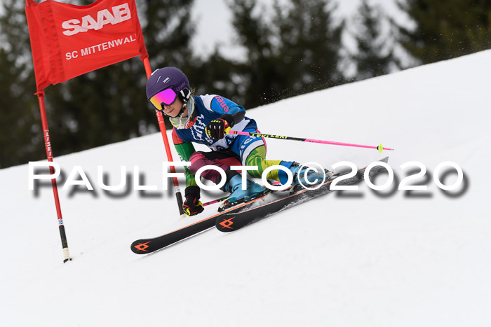 Ziener Cup WF u. U12 Kids Cross RSX 25.01.2020