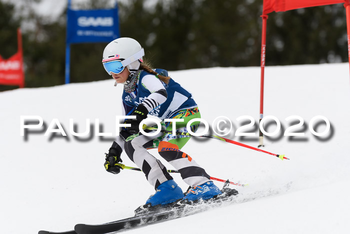 Ziener Cup WF u. U12 Kids Cross RSX 25.01.2020