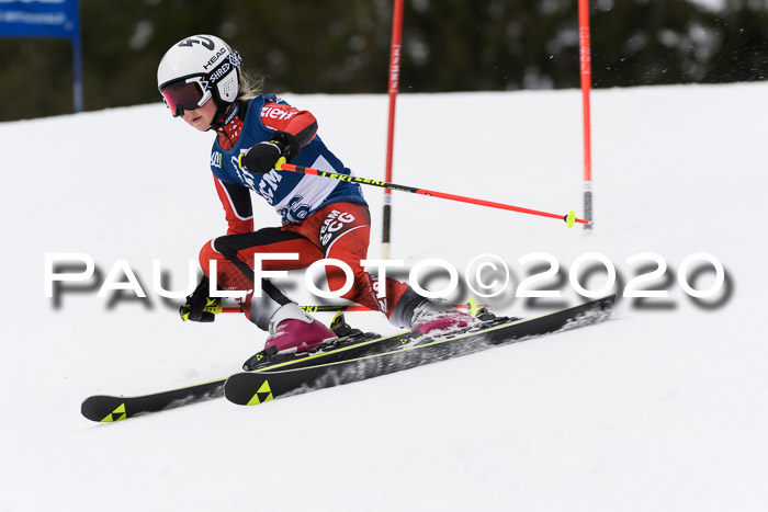 Ziener Cup WF u. U12 Kids Cross RSX 25.01.2020