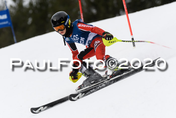 Ziener Cup WF u. U12 Kids Cross RSX 25.01.2020
