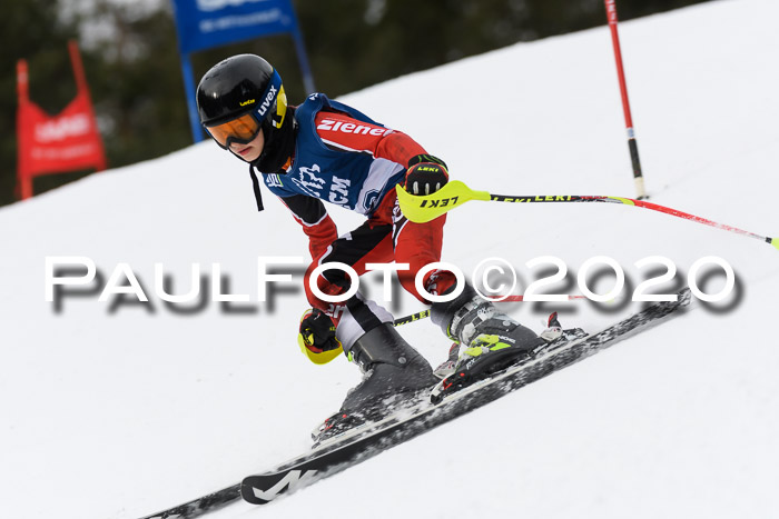 Ziener Cup WF u. U12 Kids Cross RSX 25.01.2020