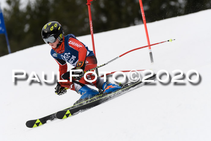 Ziener Cup WF u. U12 Kids Cross RSX 25.01.2020
