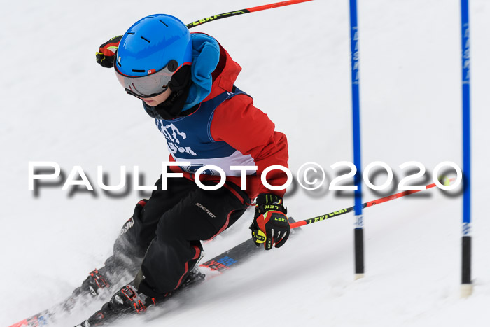 Ziener Cup WF u. U12 Kids Cross RSX 25.01.2020