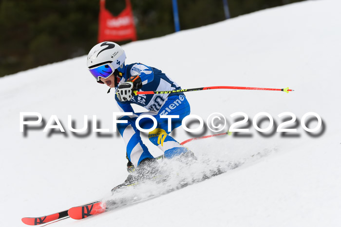 Ziener Cup WF u. U12 Kids Cross RSX 25.01.2020