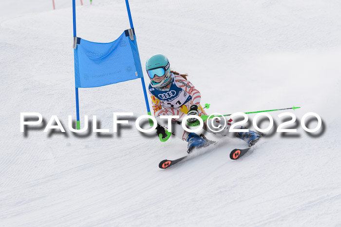 Ziener Kids-Cross M/OL U12 Race Cross II