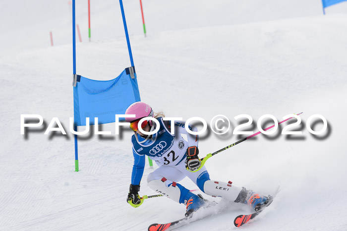 Ziener Kids-Cross M/OL U12 Race Cross II