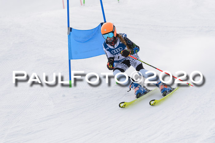 Ziener Kids-Cross M/OL U12 Race Cross II