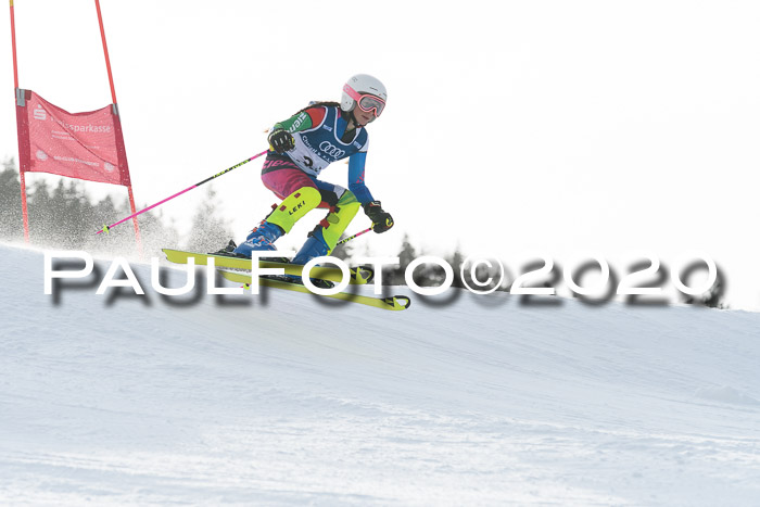 Ziener Kids-Cross M/OL U12 Race Cross II