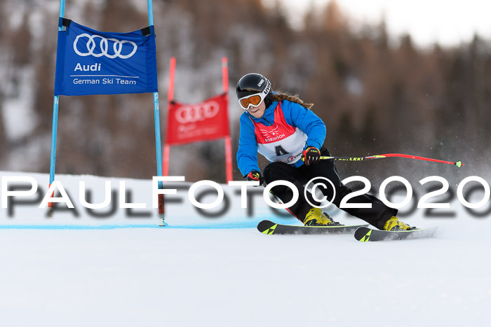 FIS + NJC Riesenslalom Damen + Herren 01.02.2020