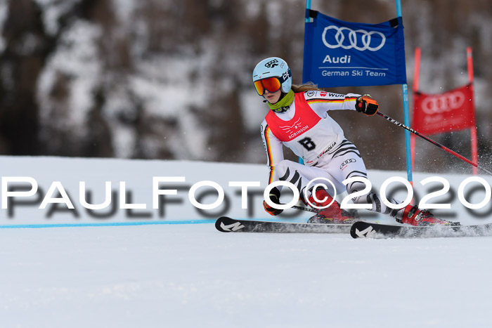 FIS + NJC Riesenslalom Damen + Herren 01.02.2020