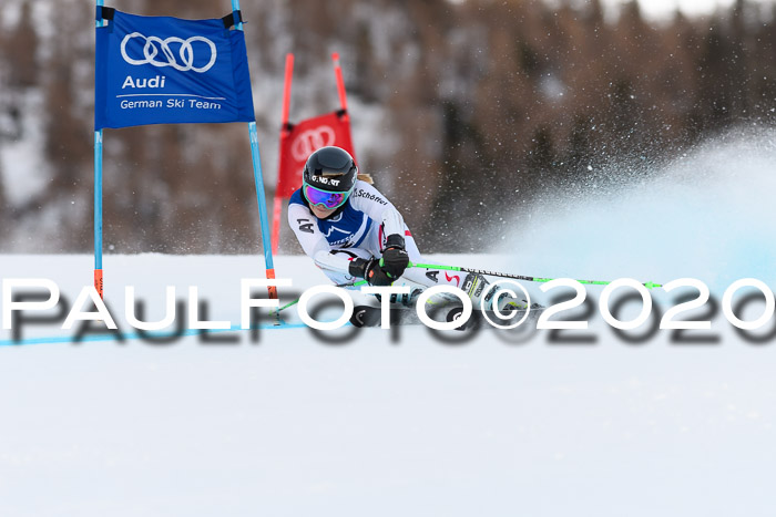 FIS + NJC Riesenslalom Damen + Herren 01.02.2020