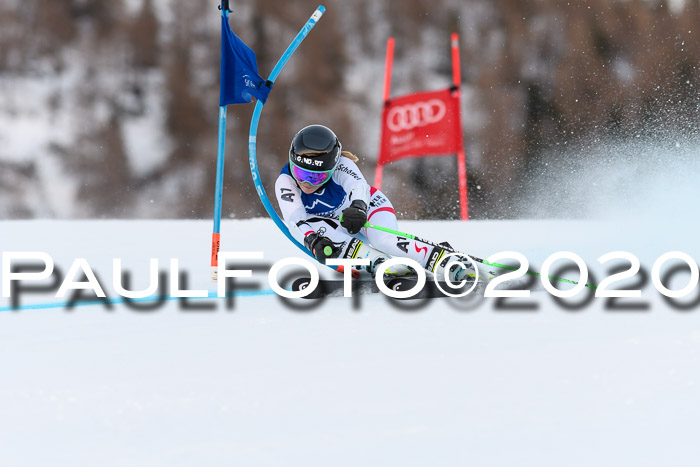 FIS + NJC Riesenslalom Damen + Herren 01.02.2020