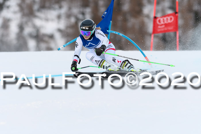 FIS + NJC Riesenslalom Damen + Herren 01.02.2020