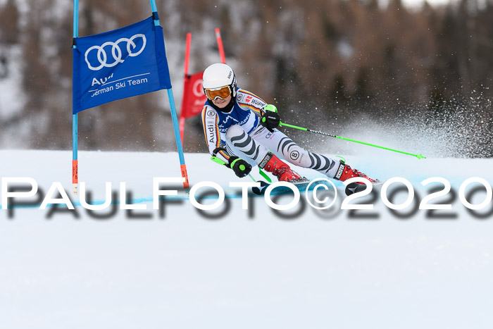 FIS + NJC Riesenslalom Damen + Herren 01.02.2020