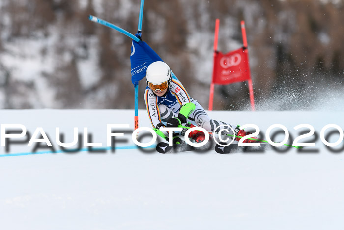 FIS + NJC Riesenslalom Damen + Herren 01.02.2020