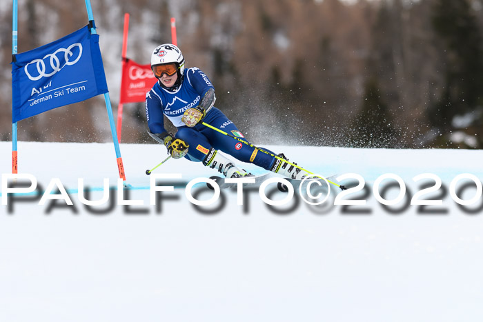 FIS + NJC Riesenslalom Damen + Herren 01.02.2020